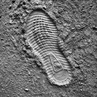 A footprint of a shoe in dirt