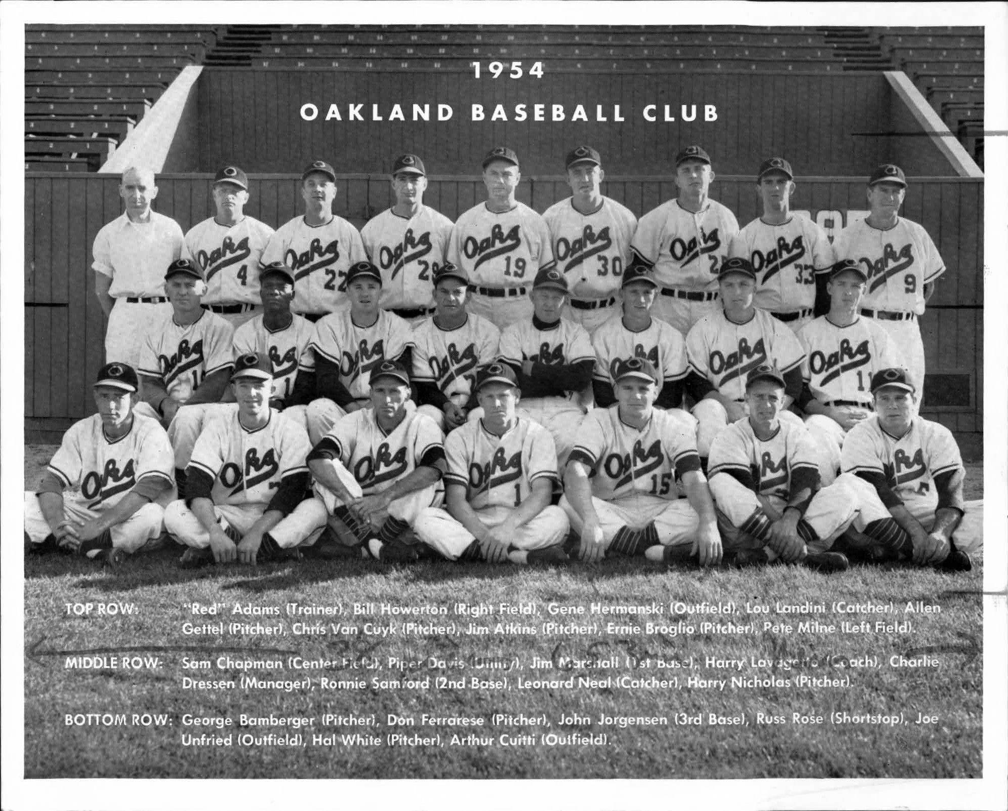 oakland oaks baseball