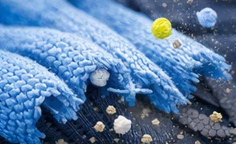 Image of microfibers.