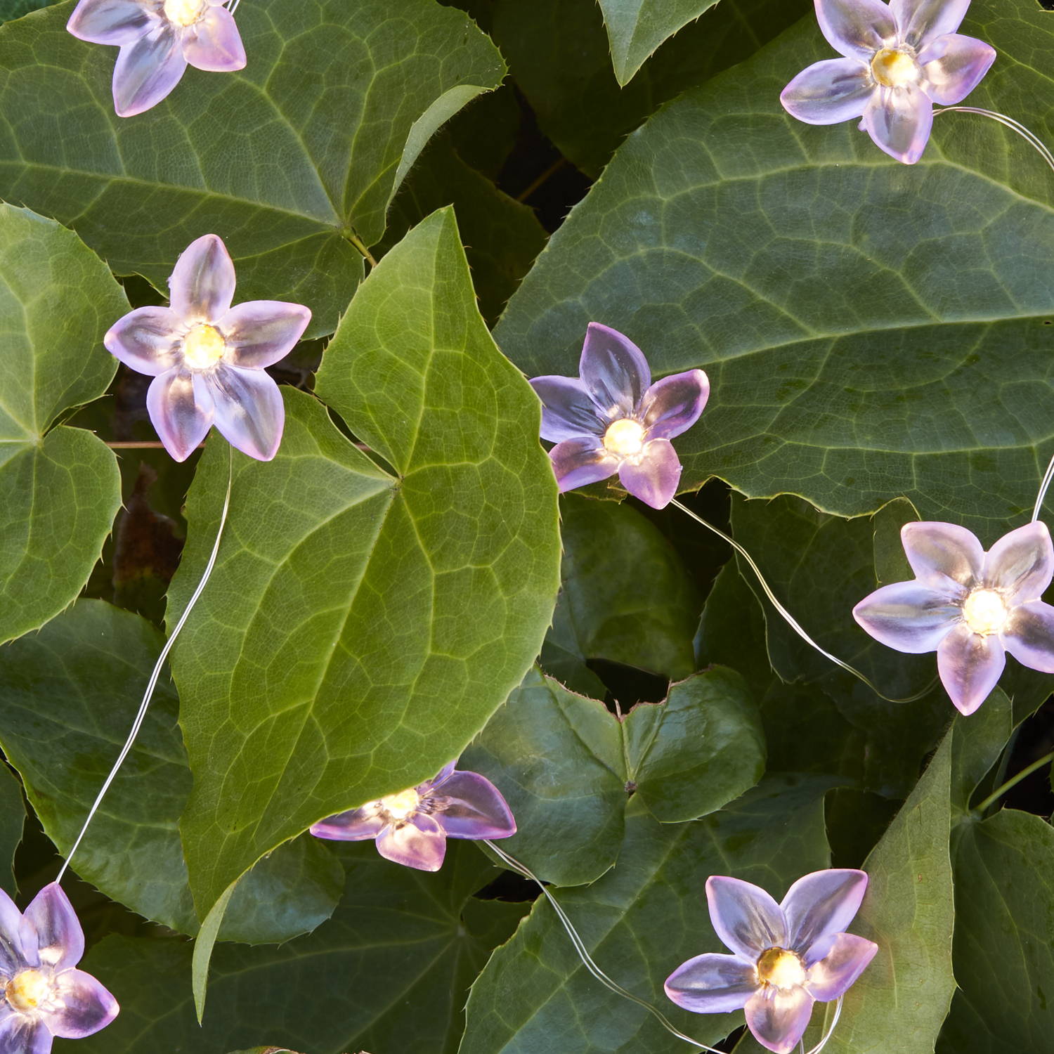 Purple flower LEDs entwined throughout a bush