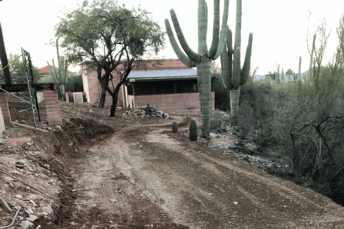 Rough-graded desert yard with dirt access path and saguaro cactus, showing early-stage site and drainage shaping.