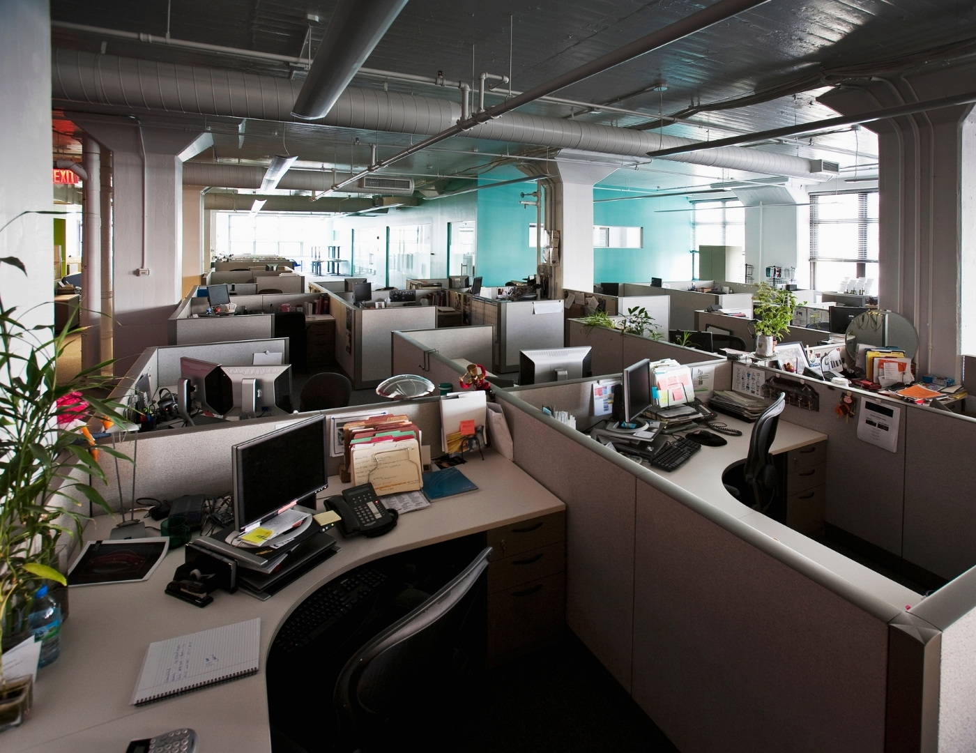 Choosing the Best Office Layout for Your Business