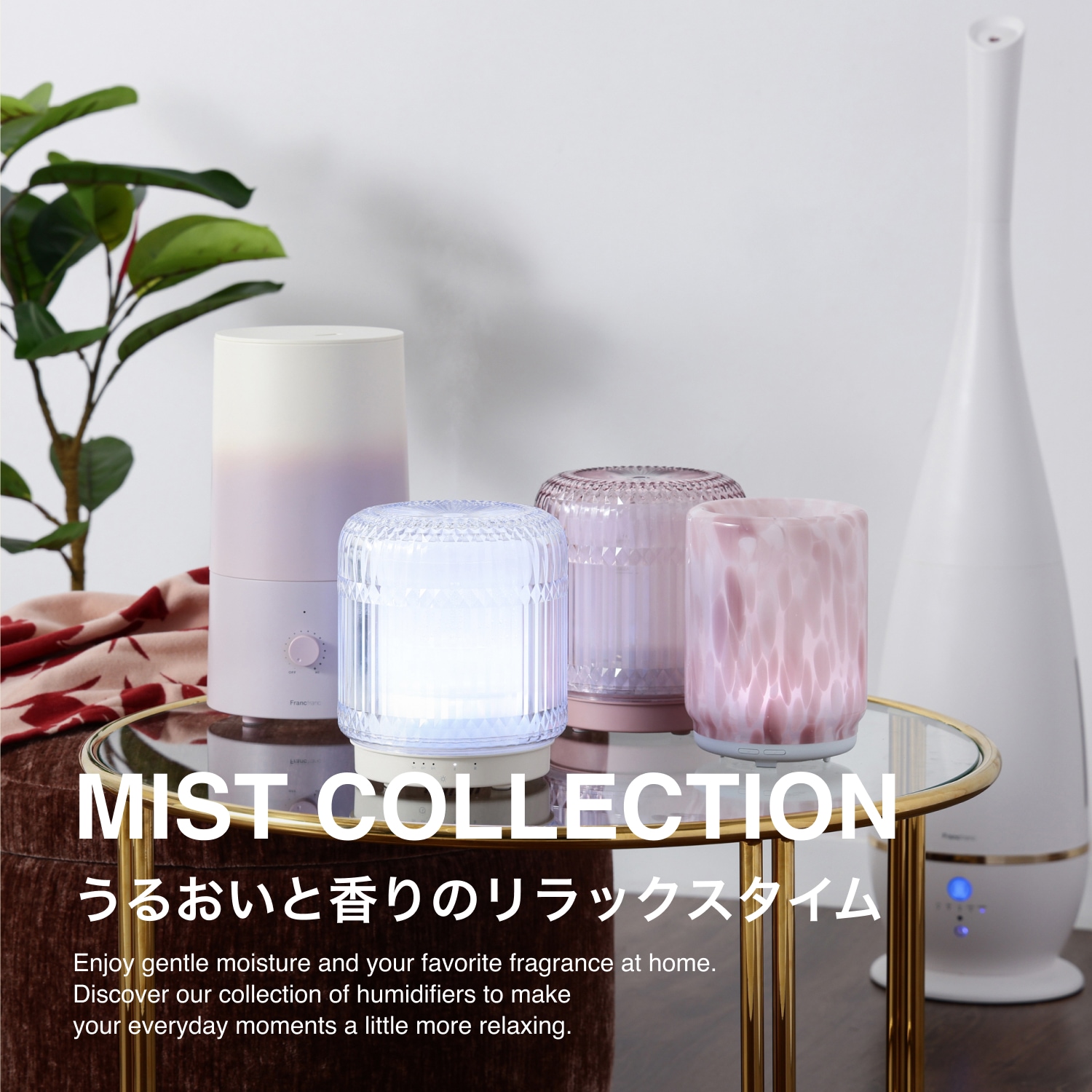うるおいを取り入れて、毎日の空間をもっと私らしく。 ｜加湿器特集