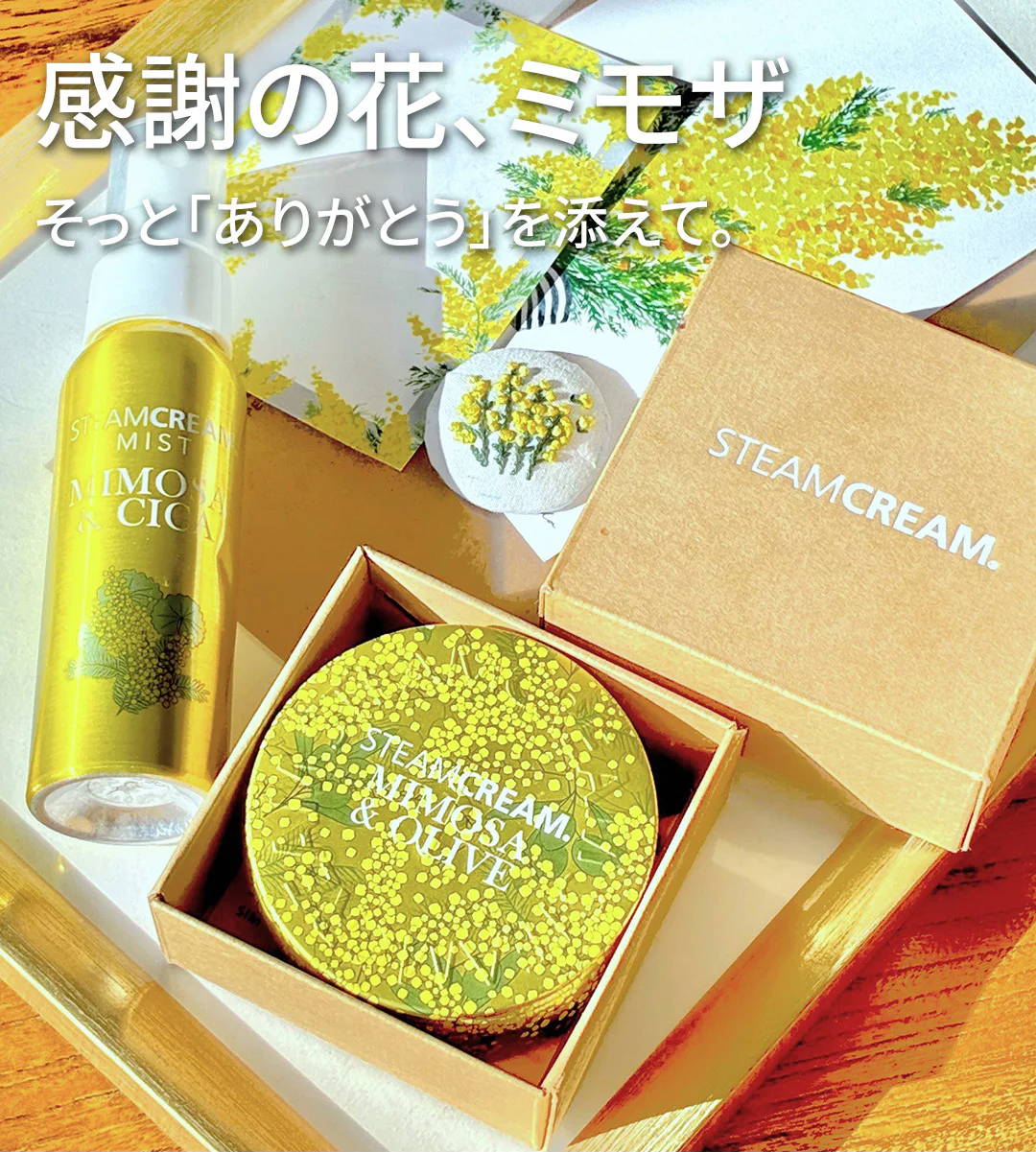 感謝を伝える花、ミモザ 気持ちをそっと届けるギフトセット