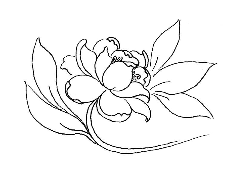 Black line drawing of a peony flower with leaves