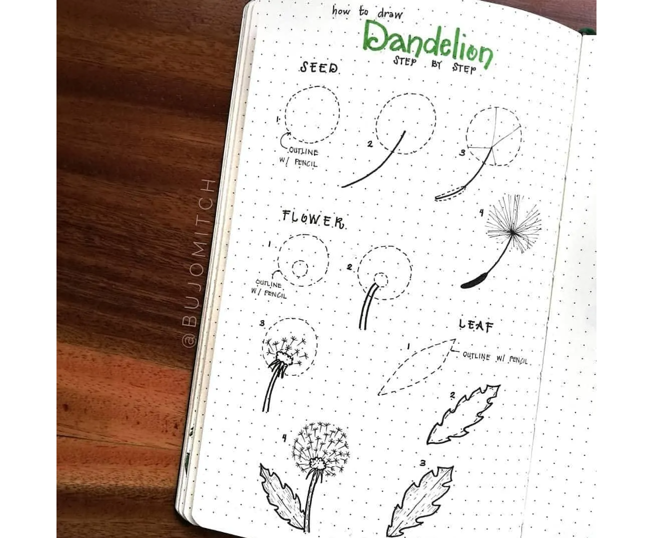 Dandelion doodle