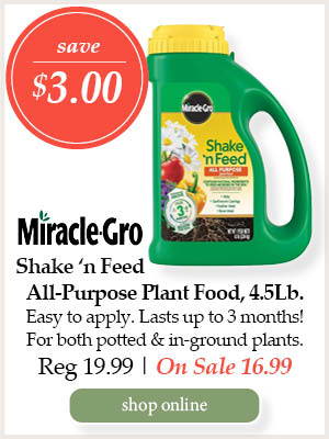 Miracle-Gro Shake ‘n Feed All-Purpose Plant Food, 4.5-pound - Save $3.00! Easy to apply. Lasts up to 3 months! For both potted and in-ground plants. | Regular price $19.99. On Sale $16.99. | Shop Online
