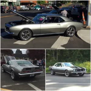 1968 Chevrolet Camaro Coupe SS Sondproofing