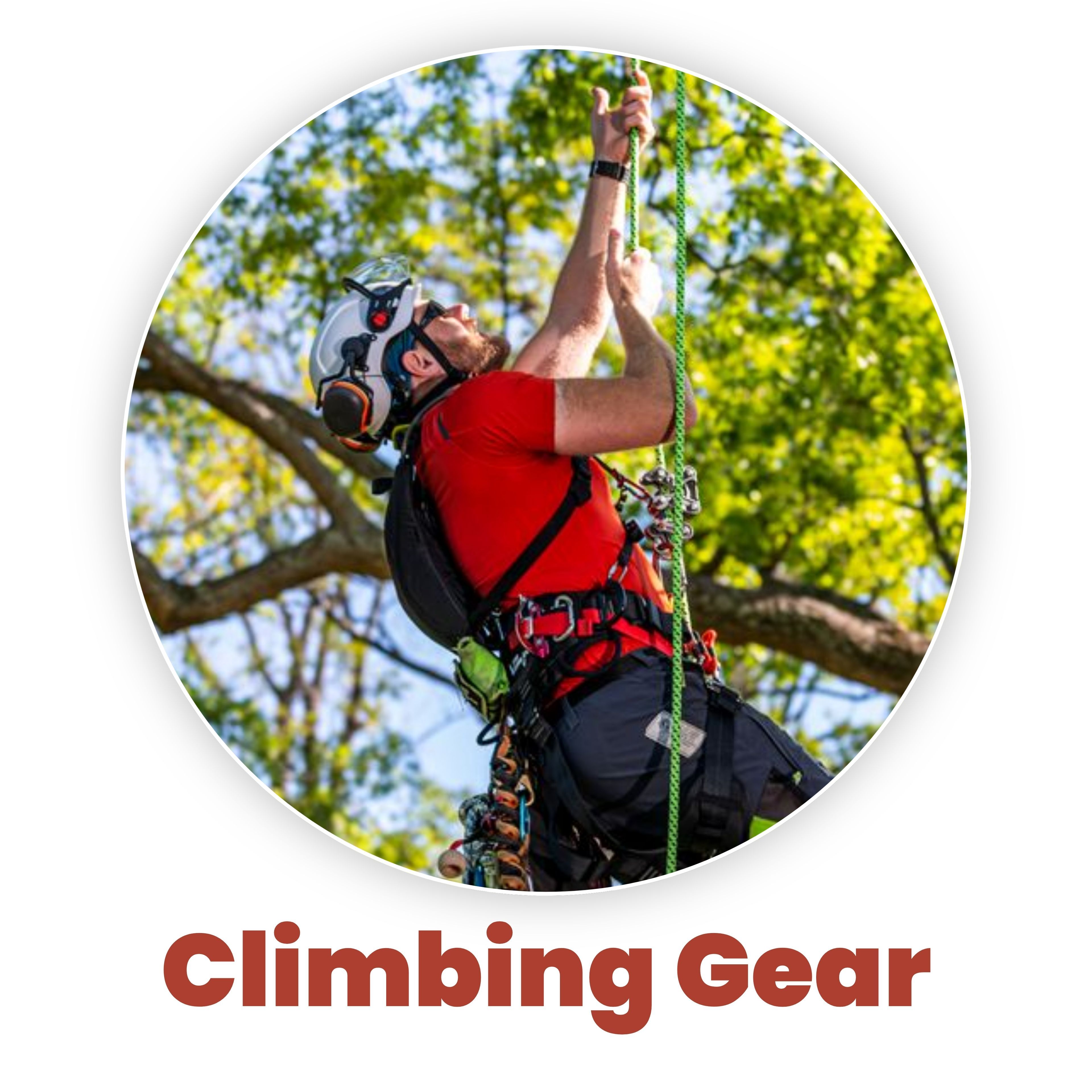 Person using climbing gear while ascending a tree.