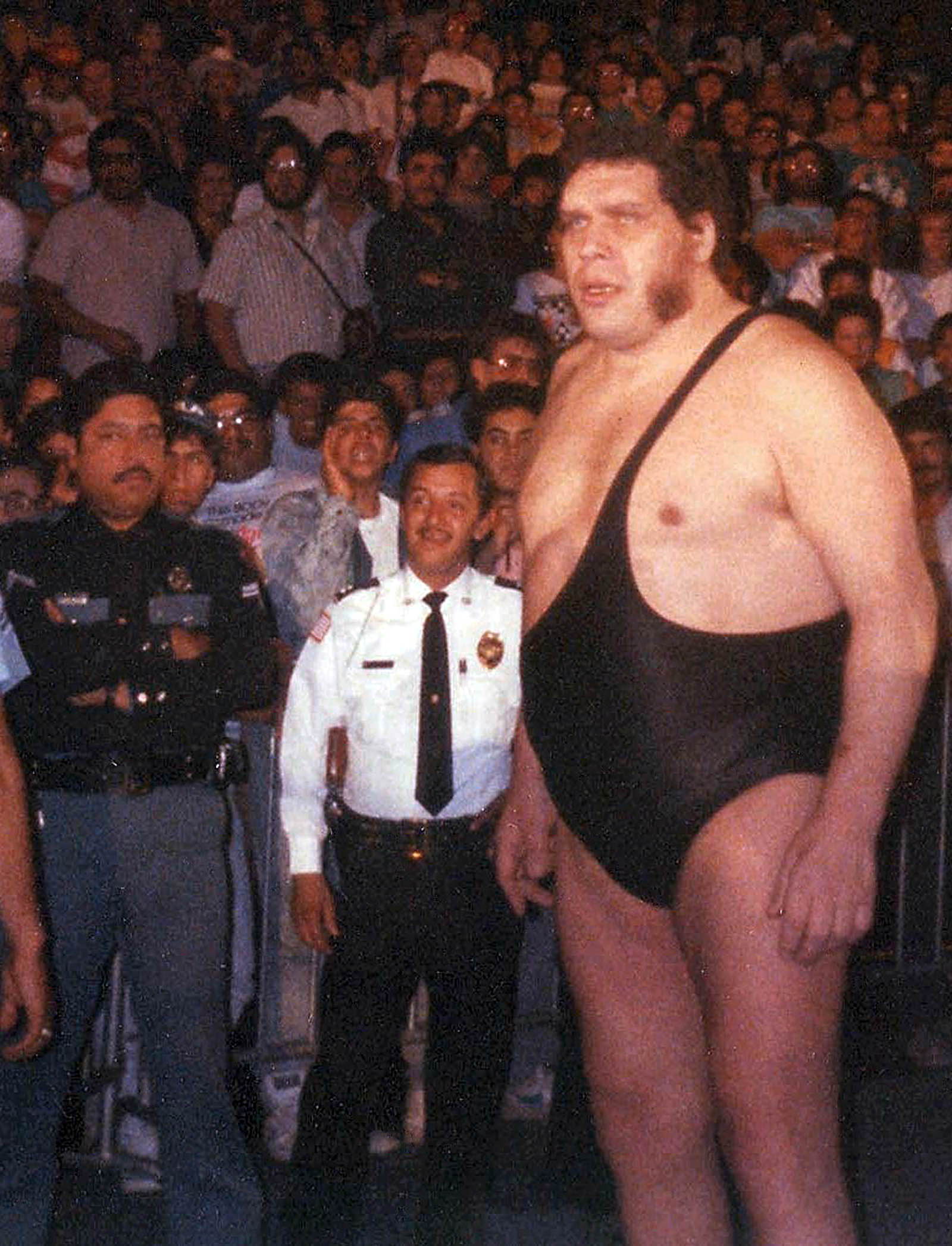 Andre the Giant 1