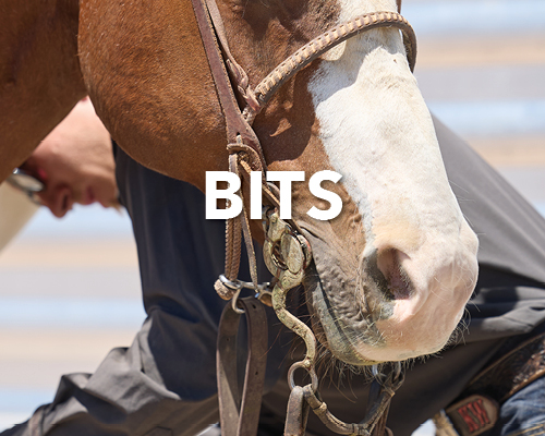 Close-up of a horse's mouth with a bit and bridle.