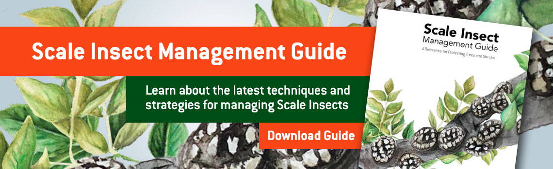 Scale Management Guide
