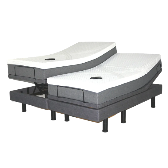 Golden Passport hi-low adjustable bed Split King