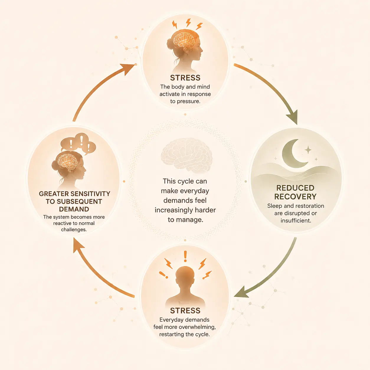 Stress and recovery cycle infographic with interconnected concepts and illustrations.