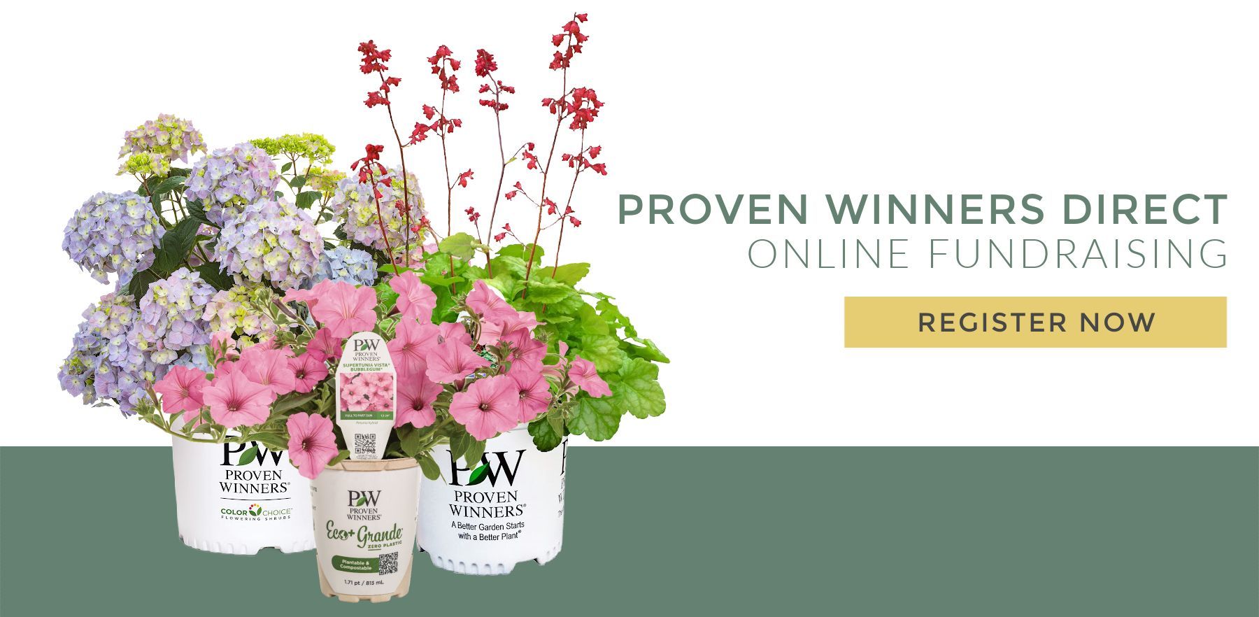 Proven Winners Direct Fundraising Register Image