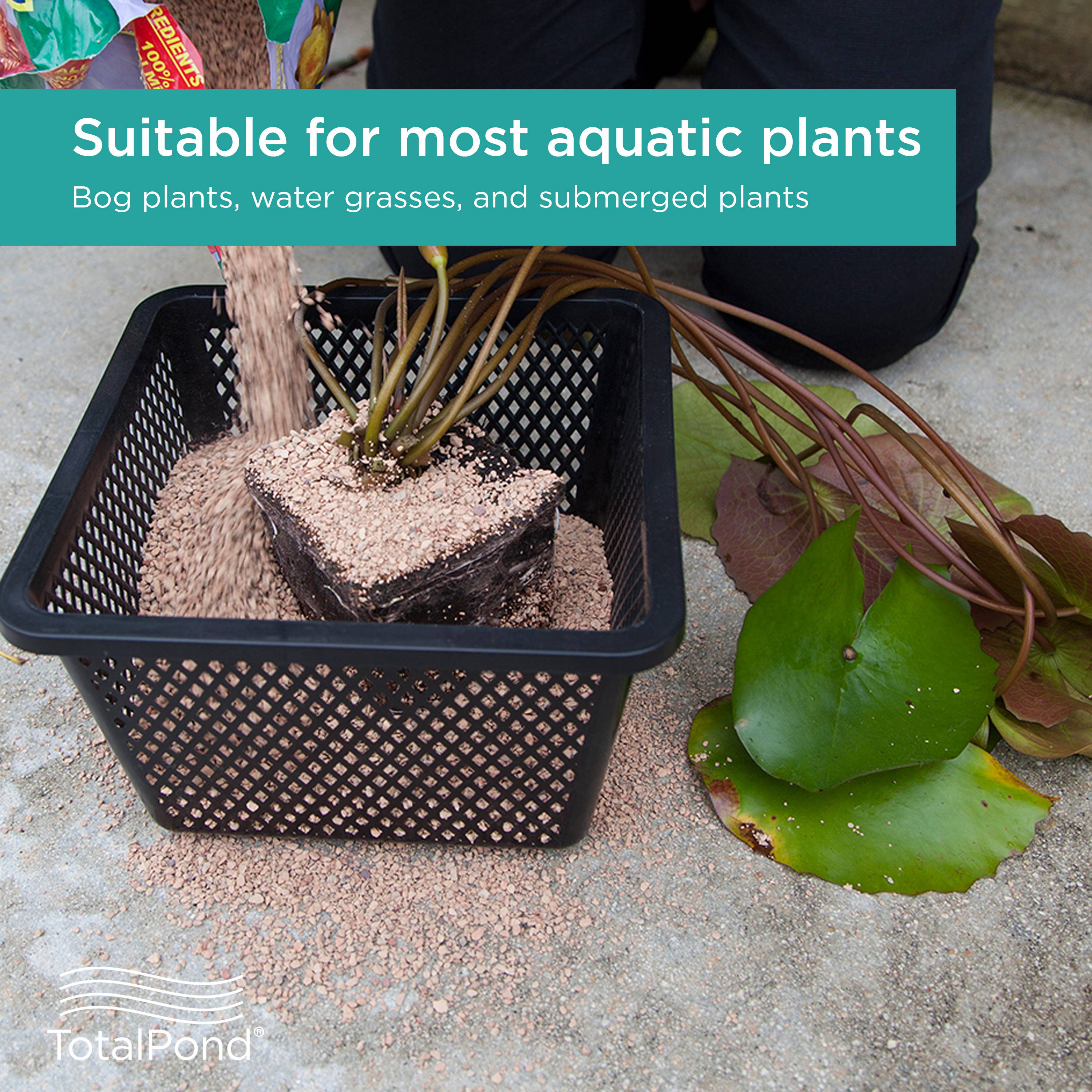 Plant Basket is suitable for most aquatic plants