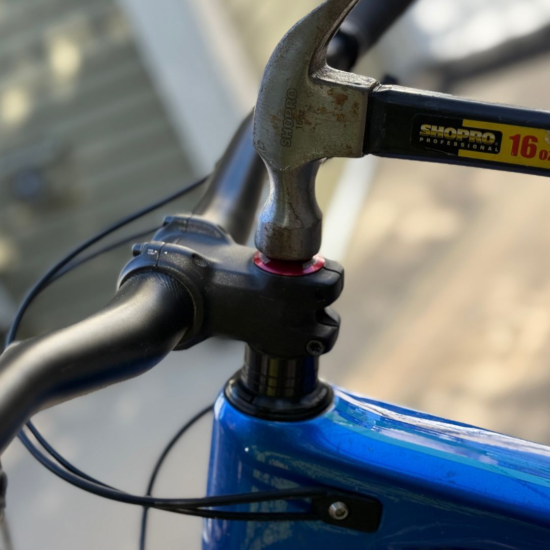 Snik_star_nut_lowered