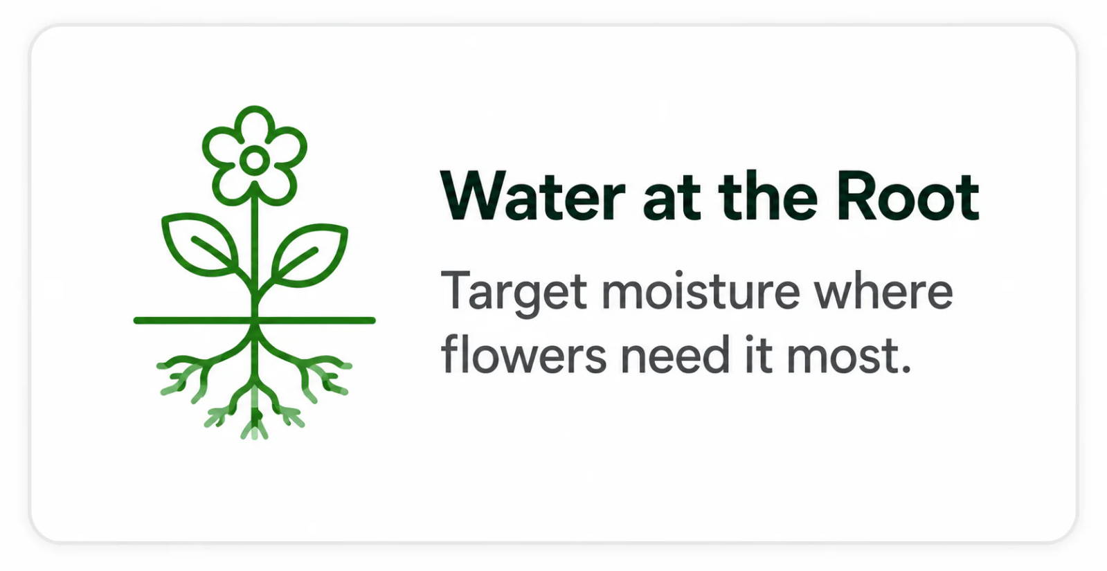 Graphic of a flower with roots, promoting targeted watering.