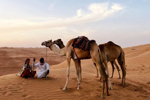 Magic Arabia Fix Camp_bedouin-camels