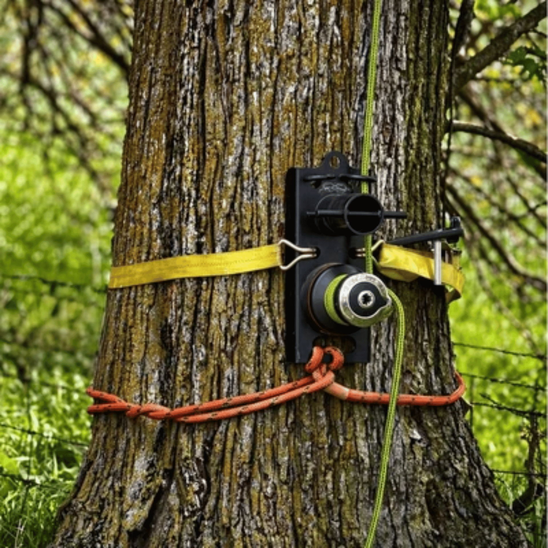 Device mounted on a tree trunk with straps and ropes.