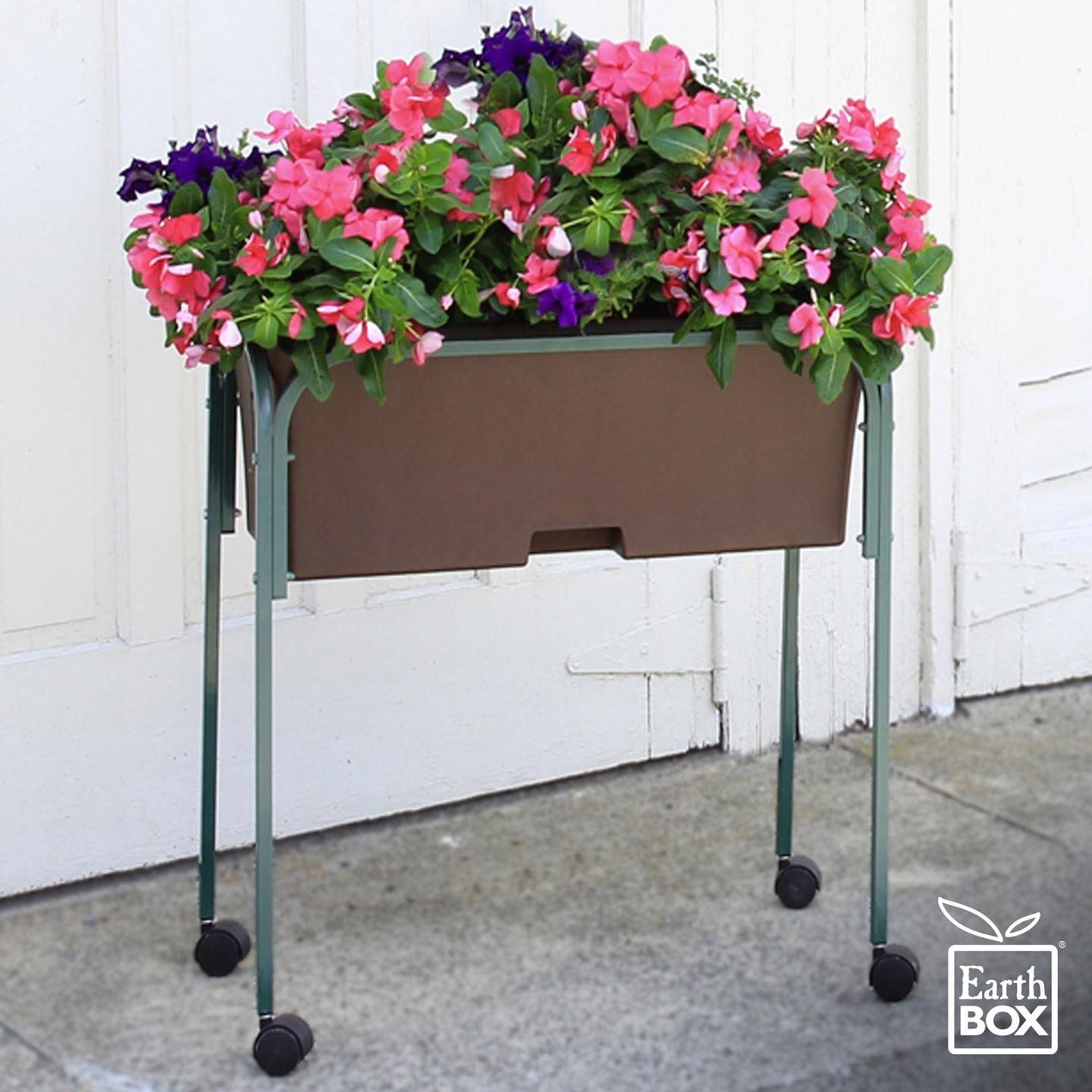 Flowers growing in an EarthBox elevated planting box