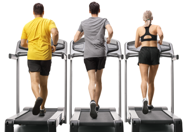 Three individuals exercising on treadmills from the back view.