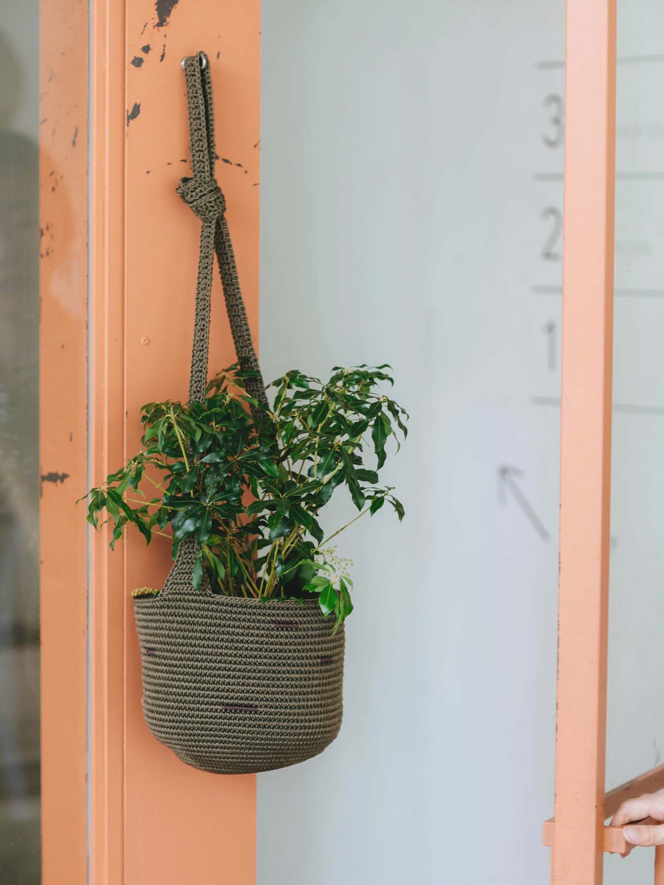 Hanging plant in a woven basket near a door.