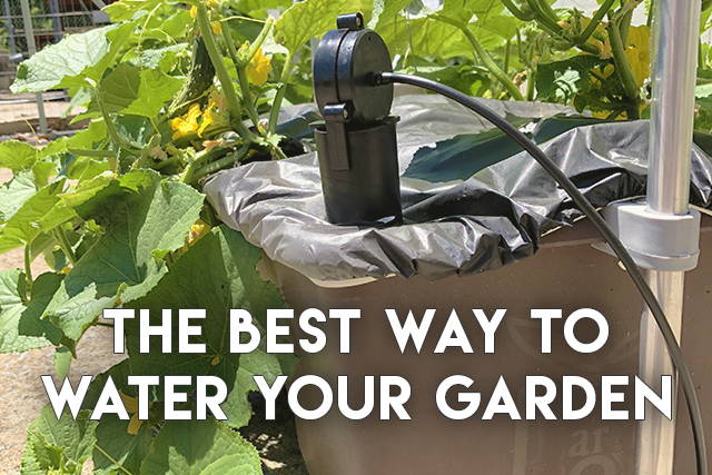 The Best Way to Water Your EarthBox® Garden