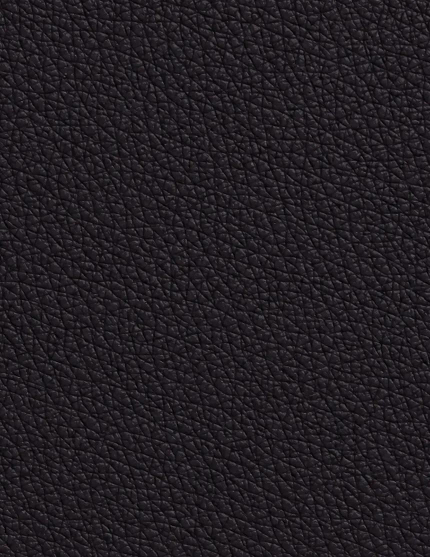 Textured black leather surface.