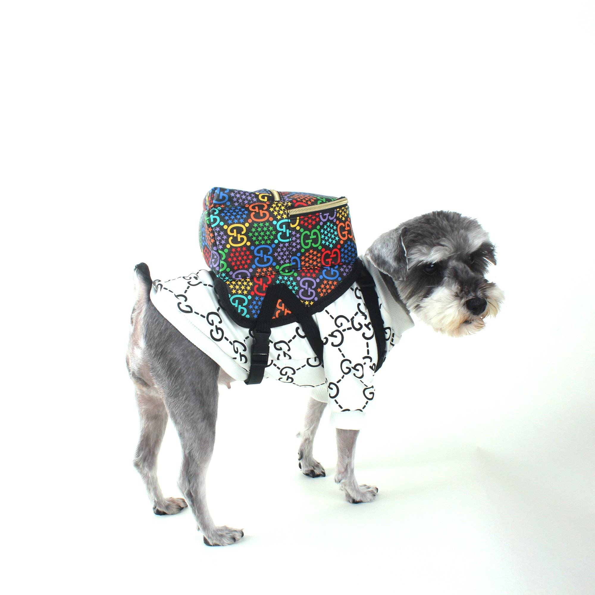 gucci dog backpack