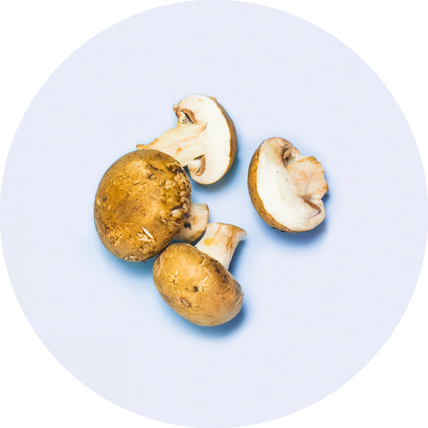 mushrooms, an example of everyday food that has vitamin D3
