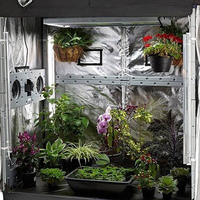 With the right setup, any grow tent can become a yield powerhouse.