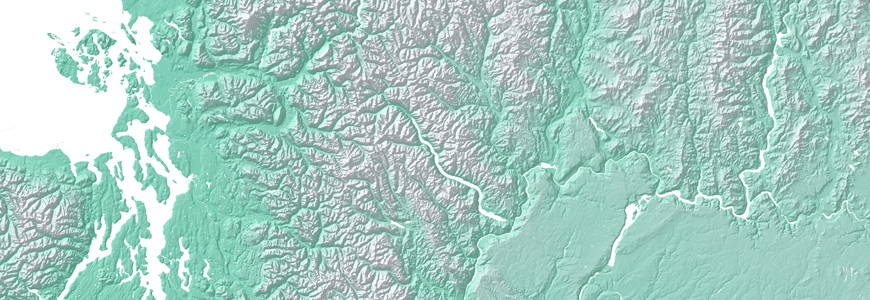 Washington map print