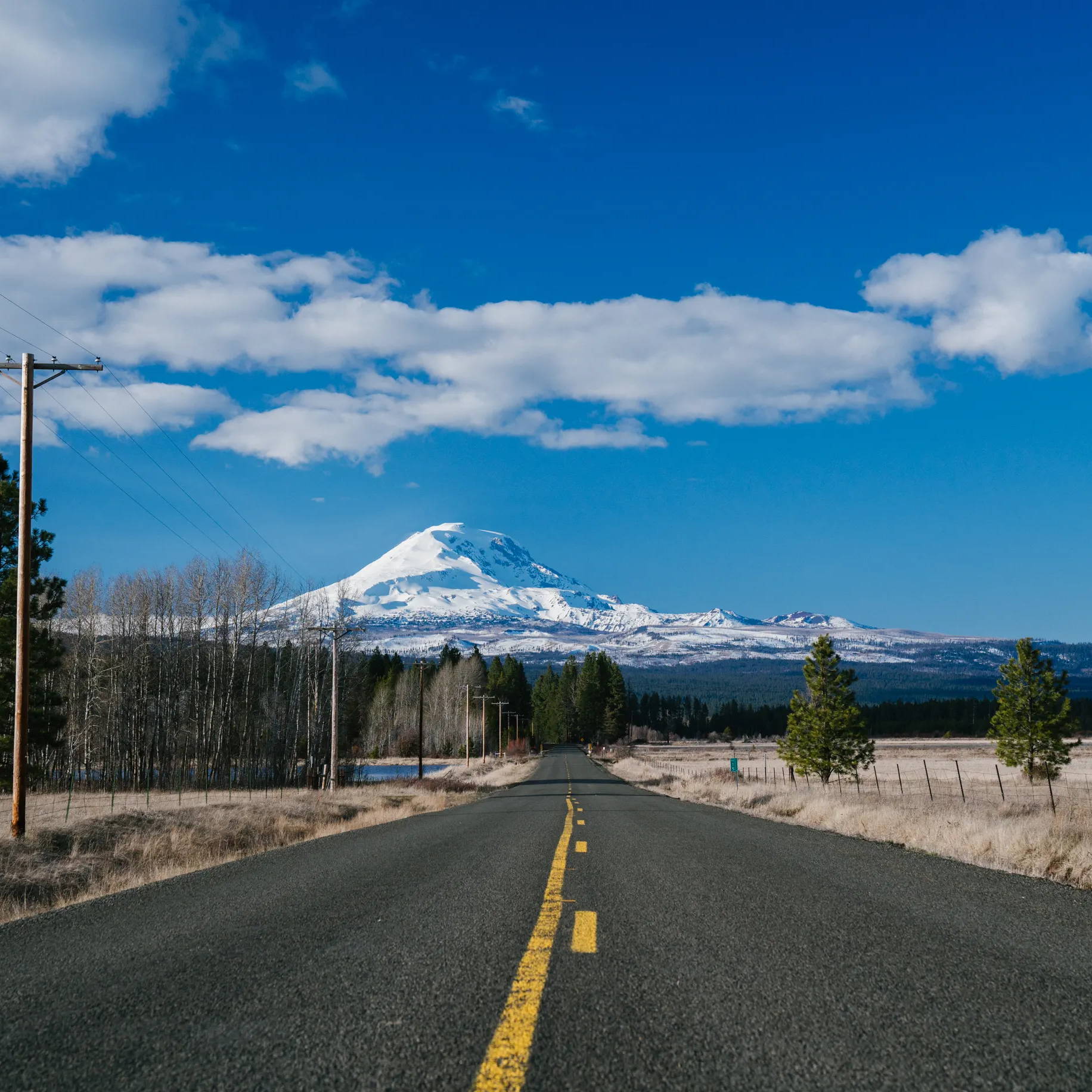 Mount Adams Washington Rumpl Getaway