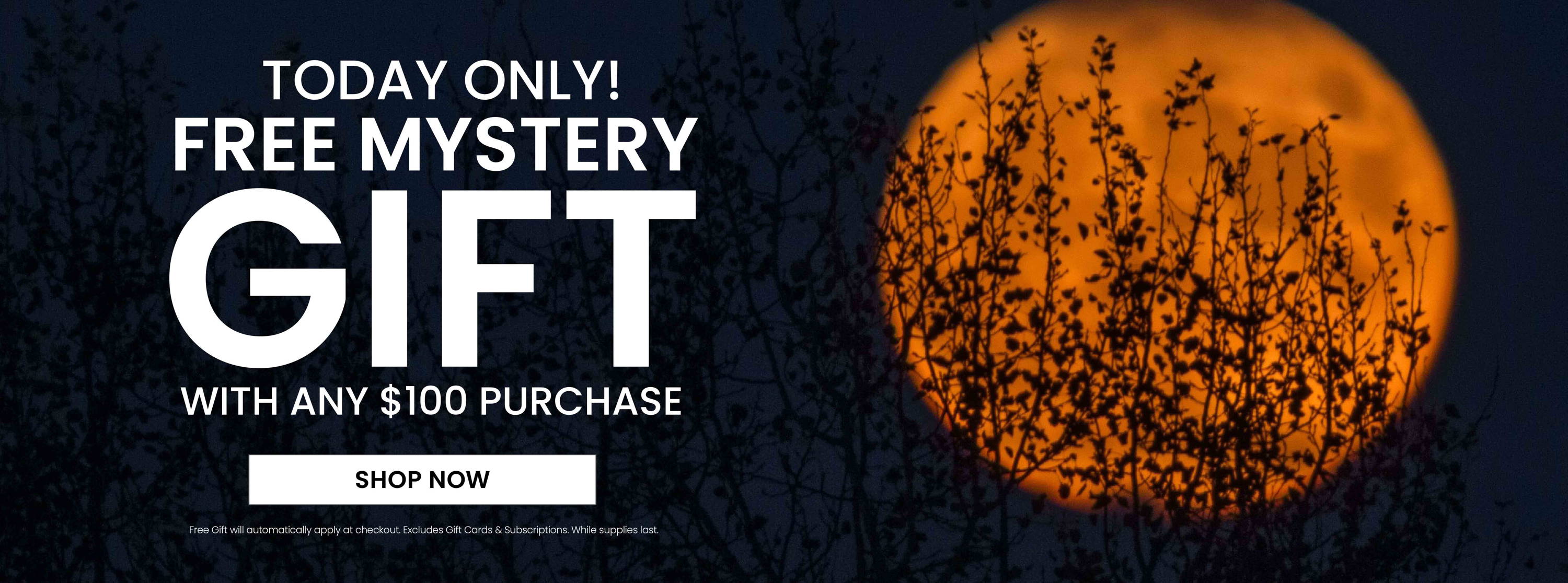 Today Only! Free Mystery Gift with any $100 purchase.