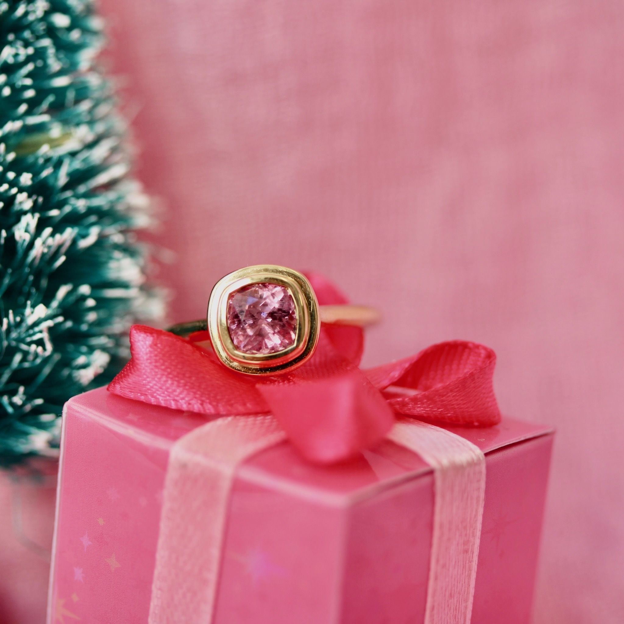 Holiday engagement proposals