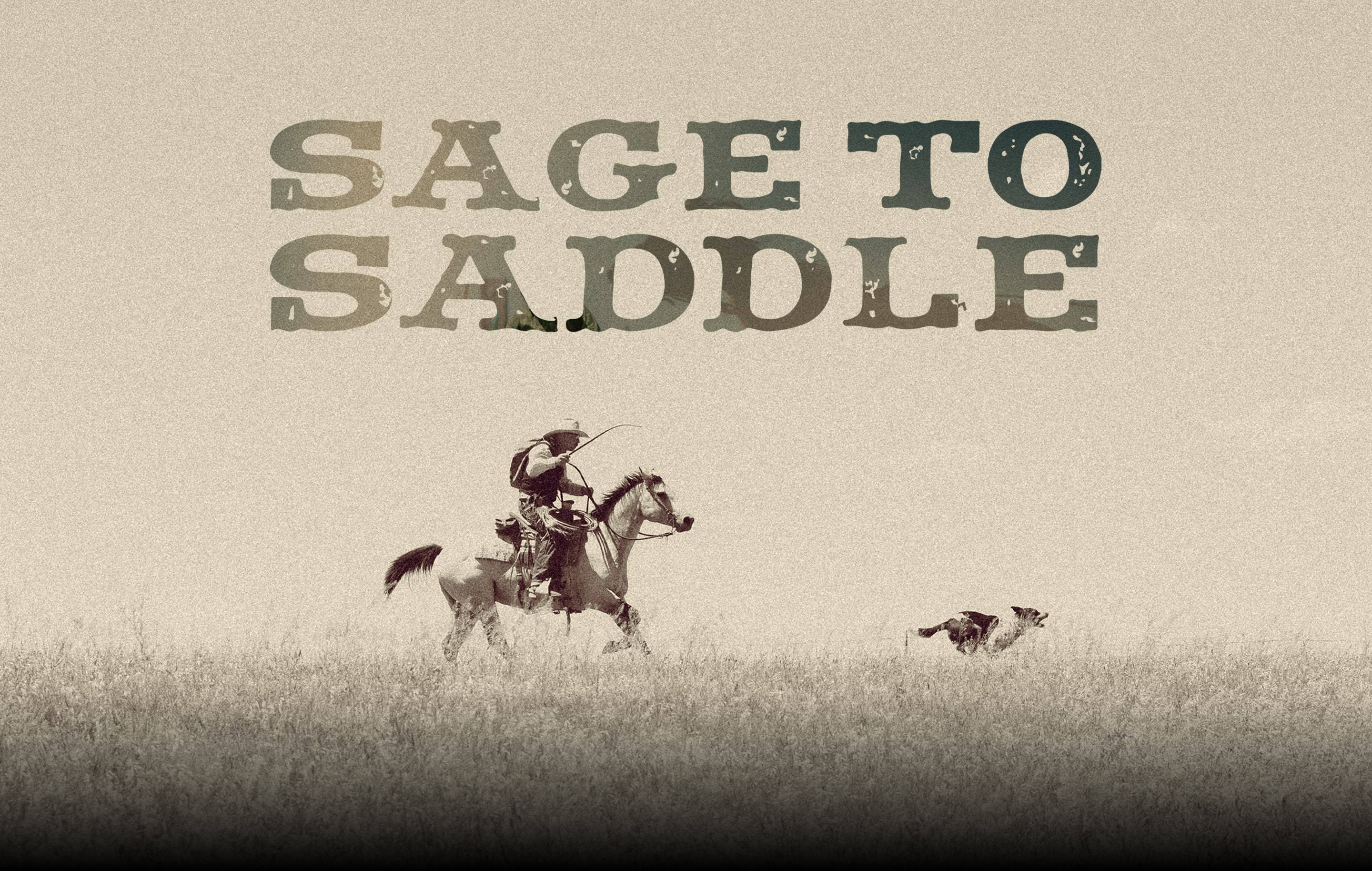 Sage to Saddle