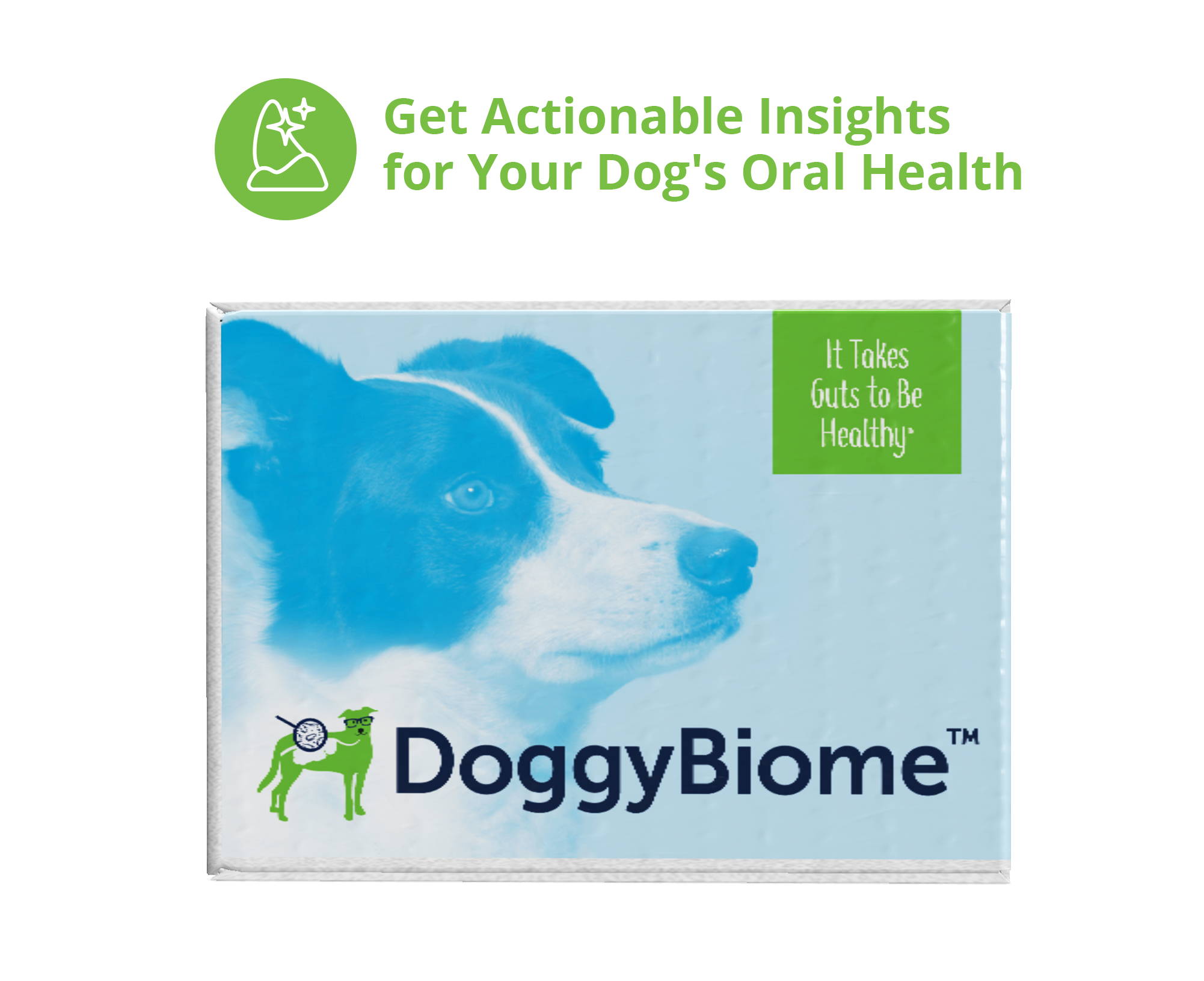 DoggyBiome Oral Health Tests (Two Tests) for Dogs
