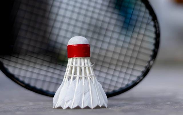 Shuttlecock With Racket 