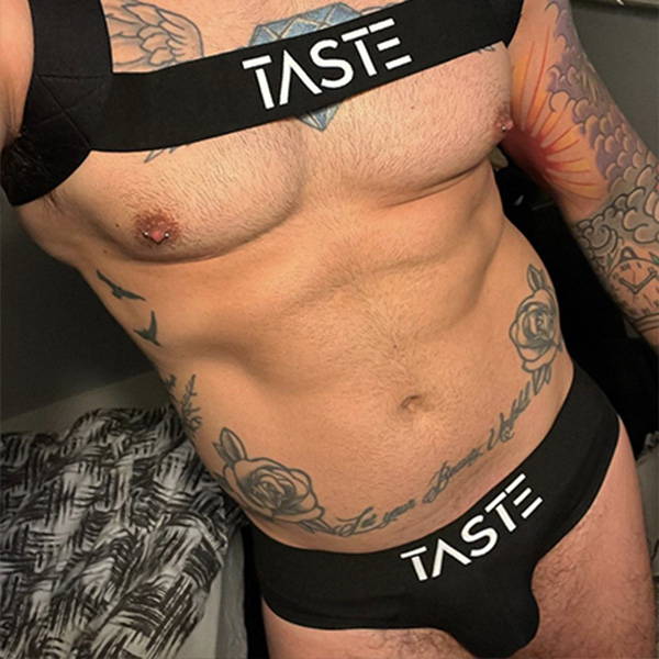 taste harness set