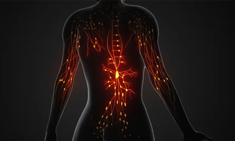 How Does Cortisol Affect the Body?
