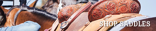 Saddles and equipment for horseback riding displayed together.