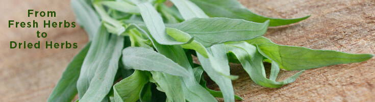 High Quality Organics Express fresh tarragon on cutting board