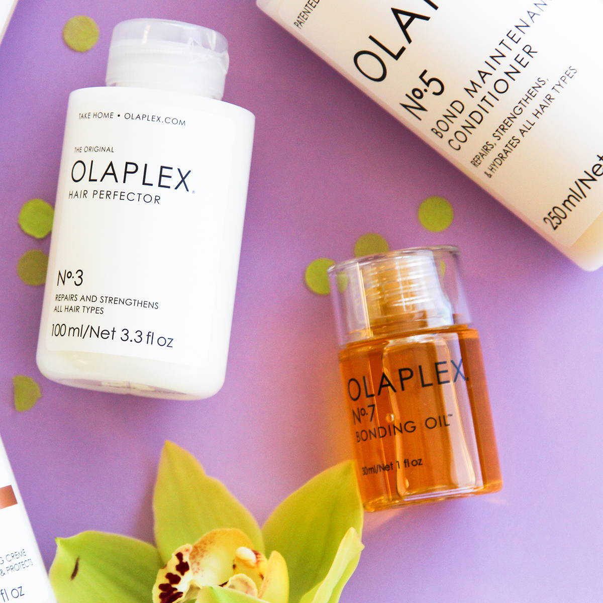 Home Vivo Hair Salons & Skin Clinics New Zealand