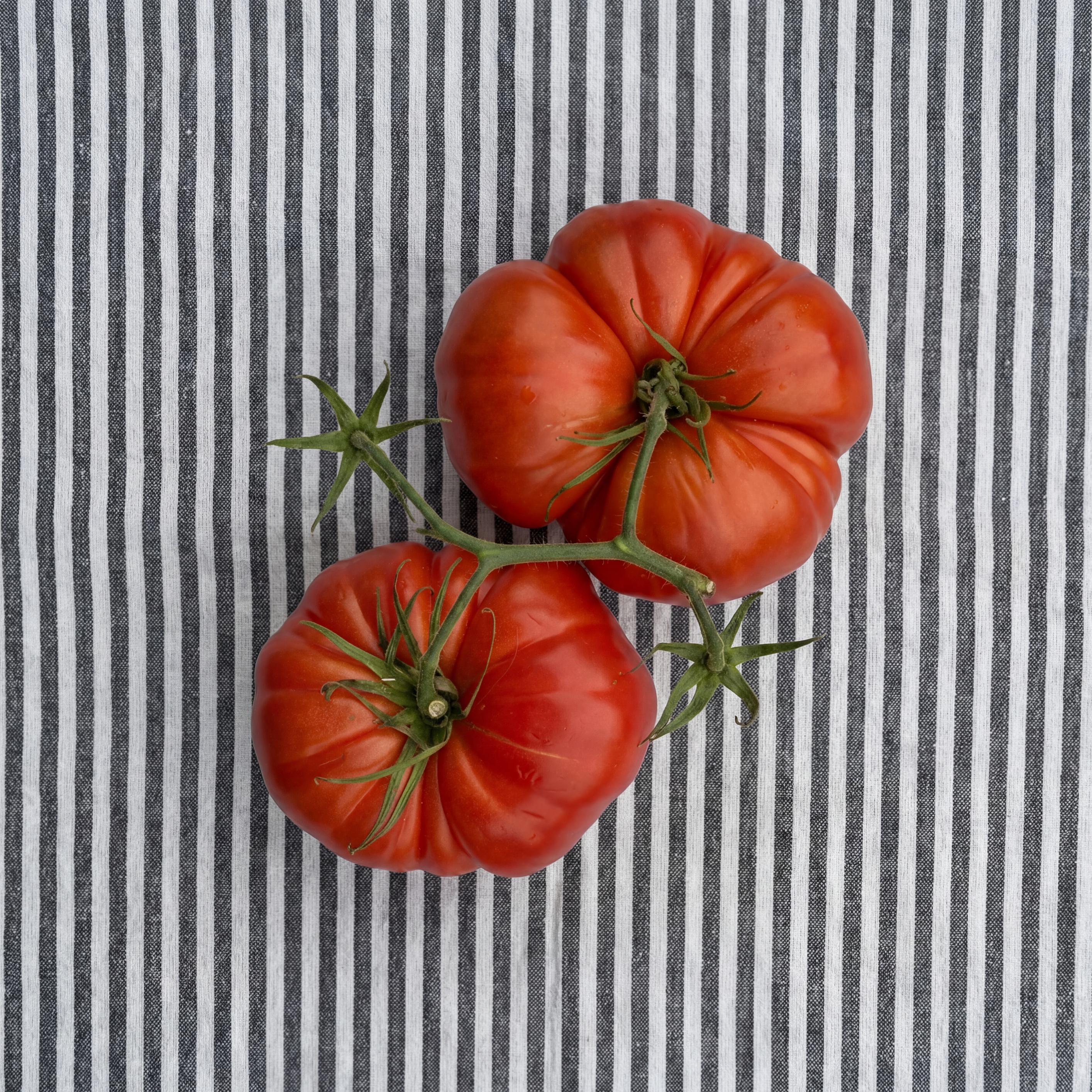 Two ripe tomatoes on a striped cloth background.