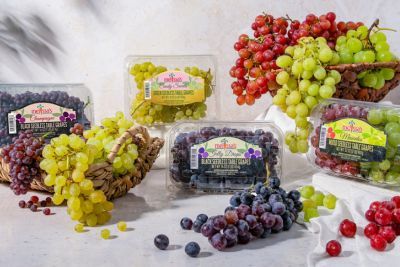 Various grape varieties displayed in containers on a neutral background.