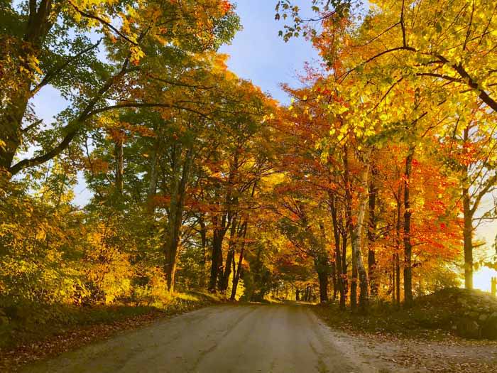 The road in Vermont just as I turn in the drive to ‘The Cellars’