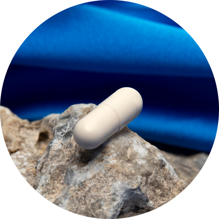 OsteoDenx