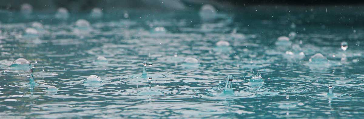 Rainwater making splashes in a puddle