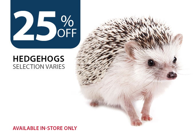 25% off Hedgehogs. Available in-store only